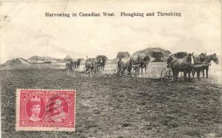 Western Canada, Harvesting, ploughing and threshing. TCV card