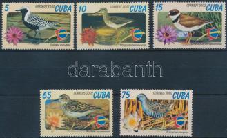 Madarak sor Birds set