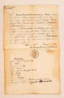 1879 Pest, Ideiglenes útlevél kiállításához szükséges okmány német nyelven személyleírással