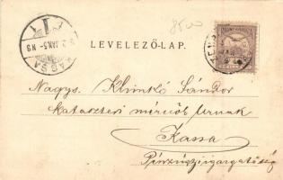 Zemplénagárd, Görög katolikus templom és paplak, Fálcsik Gábor gyógyszertára, Jegyzői lak, Reformátu...