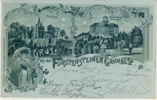 Fürstenstein Litho