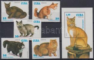Cats 5 stamps + block, Macskák 5 klf bélyeg + blokk