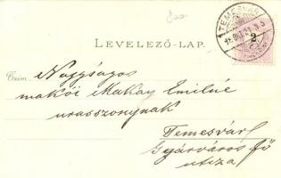 1898 Temesvár, Timisoara; színház, Losonczy tér, Józsefvárosi zárda, Gyárvárosi Kossuth tér, Scudier...