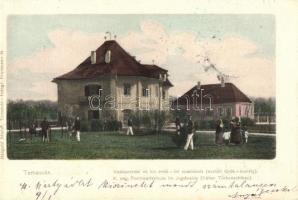 Temesvár, Timisoara; Vadászerdei m. kir. erdőőri szakiskola, ezelőtt török kastély / Royal Hungarian Forestry school, formerly turkish castle (kis felületi sérülés / minor surface damage)