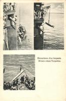 Hirsen eines Torpedos / WWI K.u.K. Navy, Elevation of a torpedo (small tear)