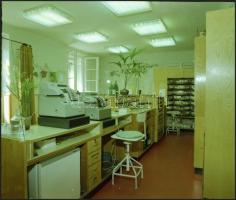 1981 Budapest, IX. ker., Üllői út 124.b. GYÓGYSZERTÁR kívül-belül, 8 db professzionális minőségű, sz...