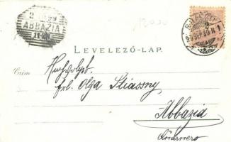 1899 Brassó, Kronstadt, Brasov; Gruss aus... litho  (kis szakadás / small tear)