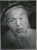 cca 1968 Gózon Gyula (1885-1972) színész portréja (színpadi maszk), vintage fotó,  24x18 cm