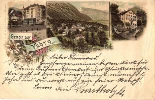 1898 Varna, Vahrn, Tirol; Villa Mayr, Gasthof und Pension Waldsacker / villa, guest house, floral, litho (wet damage)