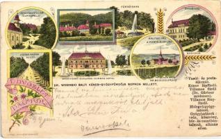 1899 Balf, Dr. Wosinski Kénes-gyógyfürdője, fürdőkápolna, park, fürdőház, halász ház a Fertő-tó partján, szálloda, fasor, Kosmos litho (Rb)