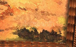 Neogrády jelzéssel: Fenyő erdő. Akvarell, papír, üvegezett keretben, 35×24 cm