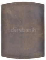 Kákonyi István (1917-1993) 1958. "Vasi Napok 1958.V.18-25." Br plakett (107x83mm) T:2