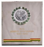 1980. "50. Nemzeti Sportuszoda 1930-1980" zománcozott fém plakett eredeti dísztokban (103x...