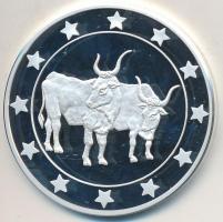 DN "Eurófantáziák - Szürkemarha" Ag emlékérem tanúsítvánnyal (20,7g/0,999/38,61mm) T:PP