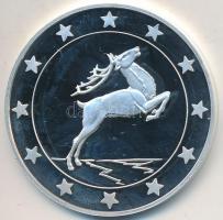 DN "Eurófantáziák - Csodaszarvas" Ag emlékérem tanúsítvánnyal (20,7g/0,999/38,61mm) T:PP