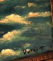 Duray jelzéssel:Tengerpart. Olaj, vászon, keretben, 60×80 cm