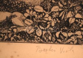 Berki Viola (1932-2001): Isztrián. Rézkarc 94/100, papír, jelzett, foltos, üvegezett keret 29×19 cm