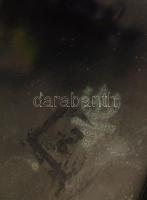 Hollóházi ékszertartó, matricás, porcelán, jelzett, hibátlan, 4x9x7cm