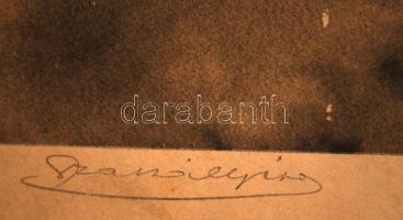 Olvashatatlan jelzéssel: Madarak. Ofszet, papír, sérült, 26×36 cm