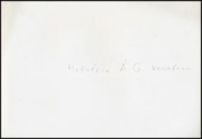 cca 1962 Helvécia, az Állami Gazdaság kacsa neveldéje, vintage fotó, 16,5x24 cm