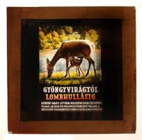 cca 1950 Fekete György (1904-1990) budapesti fényképész specialitása a mozikban nagyfilmek előtt vet...