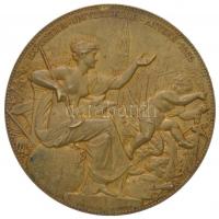 Belgium 1885. "II. Lipót király a kiállítás fővédnöke / Világkiállítás Antwerpen 1885" fém...