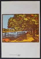 1975 Andruskó Károly metszetei, Senta, eredeti mappában, 31x21cm