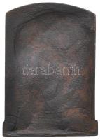 Németország DN "Energie" női portrét ábrázoló plakett "C. POELLATH" gyártói jelz...