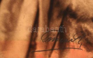 cca 1920 Tímár R(ózsika) keszthelyi fényképész aláírt, vintáge, színezett, kartonra kasírozott fotój...