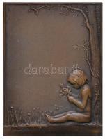 Franciaország 1892. "Kertépítés" peremén jelzett Br emlékplakett. Szign.: Daniel Dupuis (7...