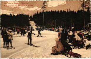 Tátra, Vysoké Tatry; téli élet a Magas Tátrában, szánkózók, síelők/ winter sports in Tatra mountai, sledding, skiers  (b)