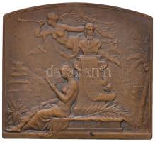 Franciaország 1895. "A Keleti Nyelvek Iskolájának Centenáriuma, Párizs" peremén jelzett Br...