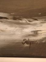 Solymos Tamás Géza (1954 -): Téli öböl. Olaj, farost, jelzett, keretben, 45×76 cm