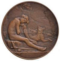 Franciaország 1907. "PAX" női portrét ábrázoló Br emlékérem peremen jelzéssel. Szign.: J.L...