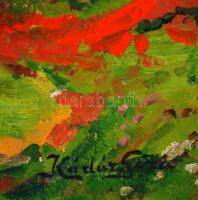 Kárdár jelzéssel: Virágzó fa a kertben. Olaj, vászon, 59×80 cm