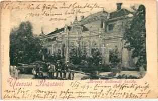 1899 Pankota, Pancota; Herczeg Sulkowski kastély, Bloch H. nyomdája / castle (EK)