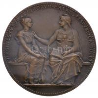 Franciaország 1884. Fiatal Lányok Közoktatása peremén jelzett Br emlékérem. Szign.: Louis Oscar Roty (141,72g/68mm) T:2 kis ph. / France 1884. Public Secondary Education of Young Women Br commemorative medal marked on edge. VIRGINES.FVTVRAS.VIRORVM.MATRES.RESPVBLICA.DOCET / ENSEIGNEMENT. / SECONDAIRE. DES. JEVNES-FILLES. LOI. DV. 21. DECEMBRE 1880 / JVLES. GREVY. PRESIDENT. DE. LA. / REPVBLIQUE. JVLES FERRY. MINIS / TRE. DE. LINSTRV[ction]. PVBLIQVE / ET DES. BEAVX ARTS / CAMILLE SEE / PROMOT EVR. Sign: Louis Oscar Roty (141,72g/68mm) C:XF small edge error