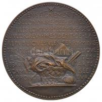 Franciaország 1884. "Fiatal Lányok Közoktatása" peremén jelzett Br emlékérem. Szign.: Loui...