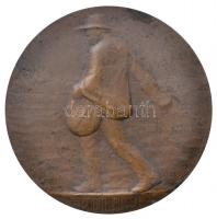 Franciaország 1902. "Termékenység és erő" peremén jelzett Br emlékérem. Szign.: Ponscarme ...