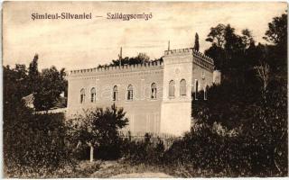 Szilágysomlyó, Simleu Silvaniei; Simai kastély / castle