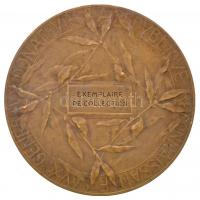 Franciaország 1910. "Nemzeti Múzeumok" peremén jelzett Br emlékérem. Szign.: Yencesse (160...
