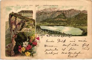 1895 Schafberg, Hotel Schafberg, Dachstein, Schneider und Lux, floral, litho (fa)