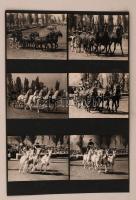 Fogathajtó és lovasbemutató, 6 db fotó albumlapra ragasztva, 9x12 cm