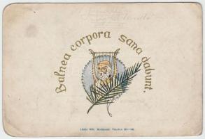 1913 Bp., Úszó- és műugró próba teljesítését igazoló oklevél, 9x14 cm