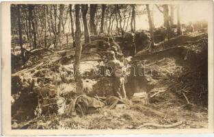 Rajvonal lövészárok az erdőben / WWI Hungarian soldiers in trenches the forest, photo