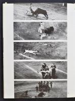 Dobos Lajos: Nagylátószög. Bp., 1975, Képzőművészeti Alap Kiadóvállalata. Kartonált papírkötésben, j...