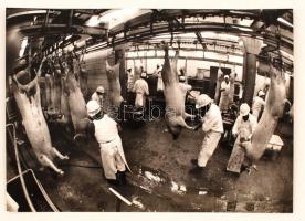 Vágóhídon, Erdei Katalin felvétele, jelzett, 17x24cm