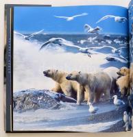 Az év természetfotói 2003. Főszerk.: Cox, Rosamund Kidman. Bp., 2003, Alexandra. Kartonált papírköté...