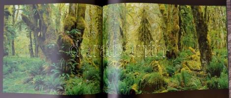 Az év természetfotói 2003. Főszerk.: Cox, Rosamund Kidman. Bp., 2003, Alexandra. Kartonált papírköté...