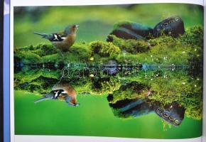 Az év természetfotói 2002. Főszerk.: Cox, Rosamund Kidman. Bp., 2002, Alexandra. Kartonált papírköté...